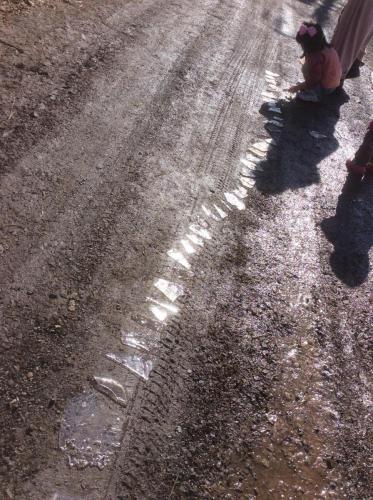 52134272_291663104865889_8953675041585758208_n